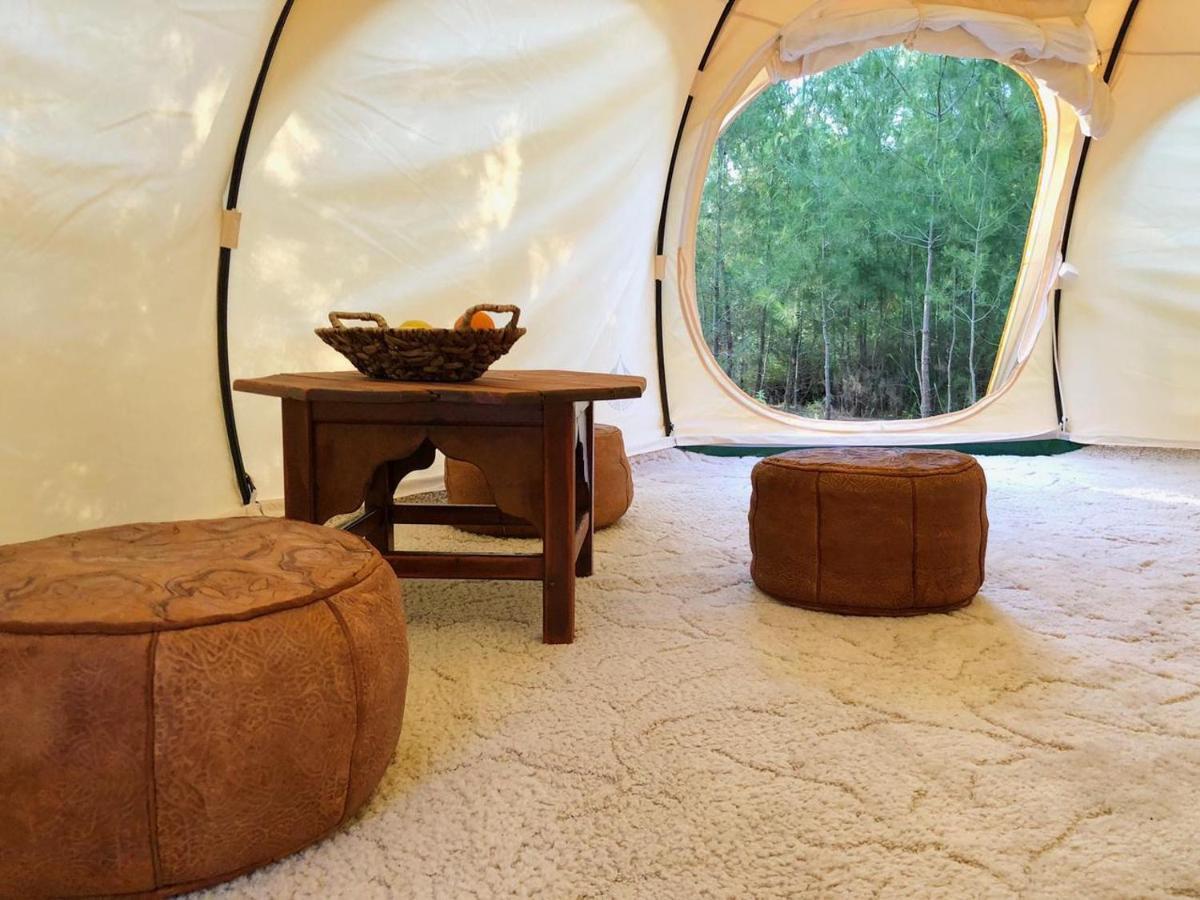 Vinsan Glamping & Wellness Centre Hotel Eleousa Exterior photo