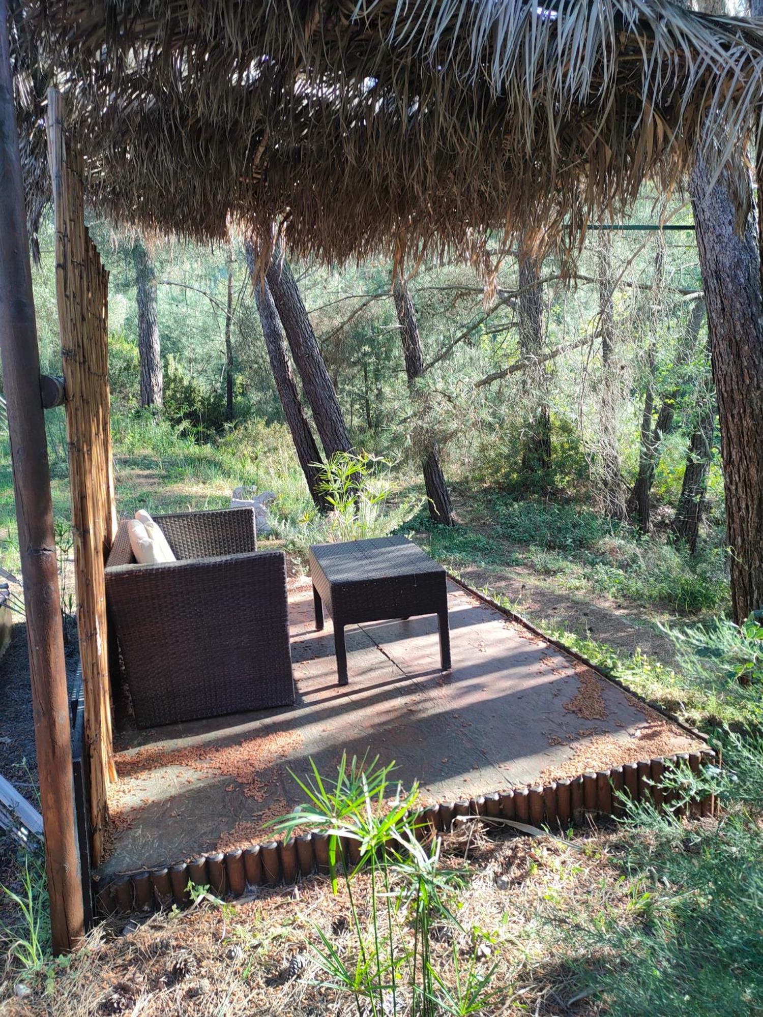 Vinsan Glamping & Wellness Centre Hotel Eleousa Exterior photo